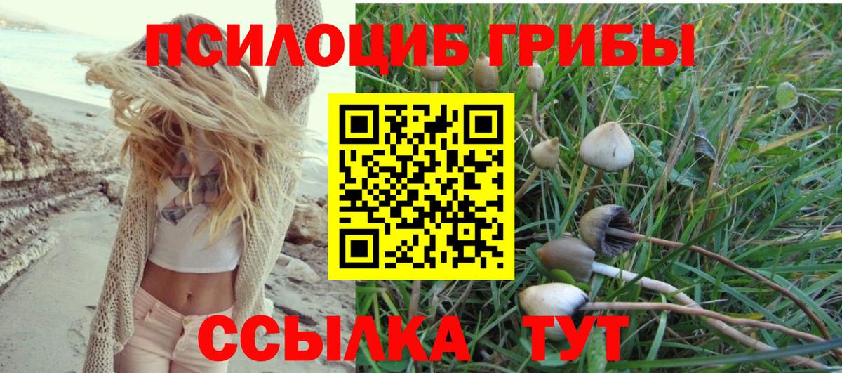 Галлюциногенные грибы прущие грибы Сыктывкар