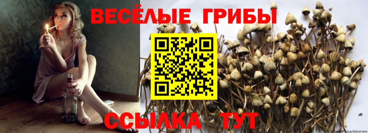 Сыктывкар  Вход с VPN  Бошки Шишки  Меф кристаллы  ГАШ  КОКАИН 